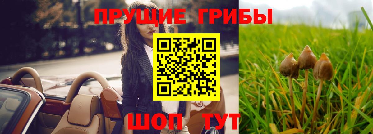 Галлюциногенные грибы MAGIC MUSHROOMS  закладки  Пыть-Ях  Вход с VPN 